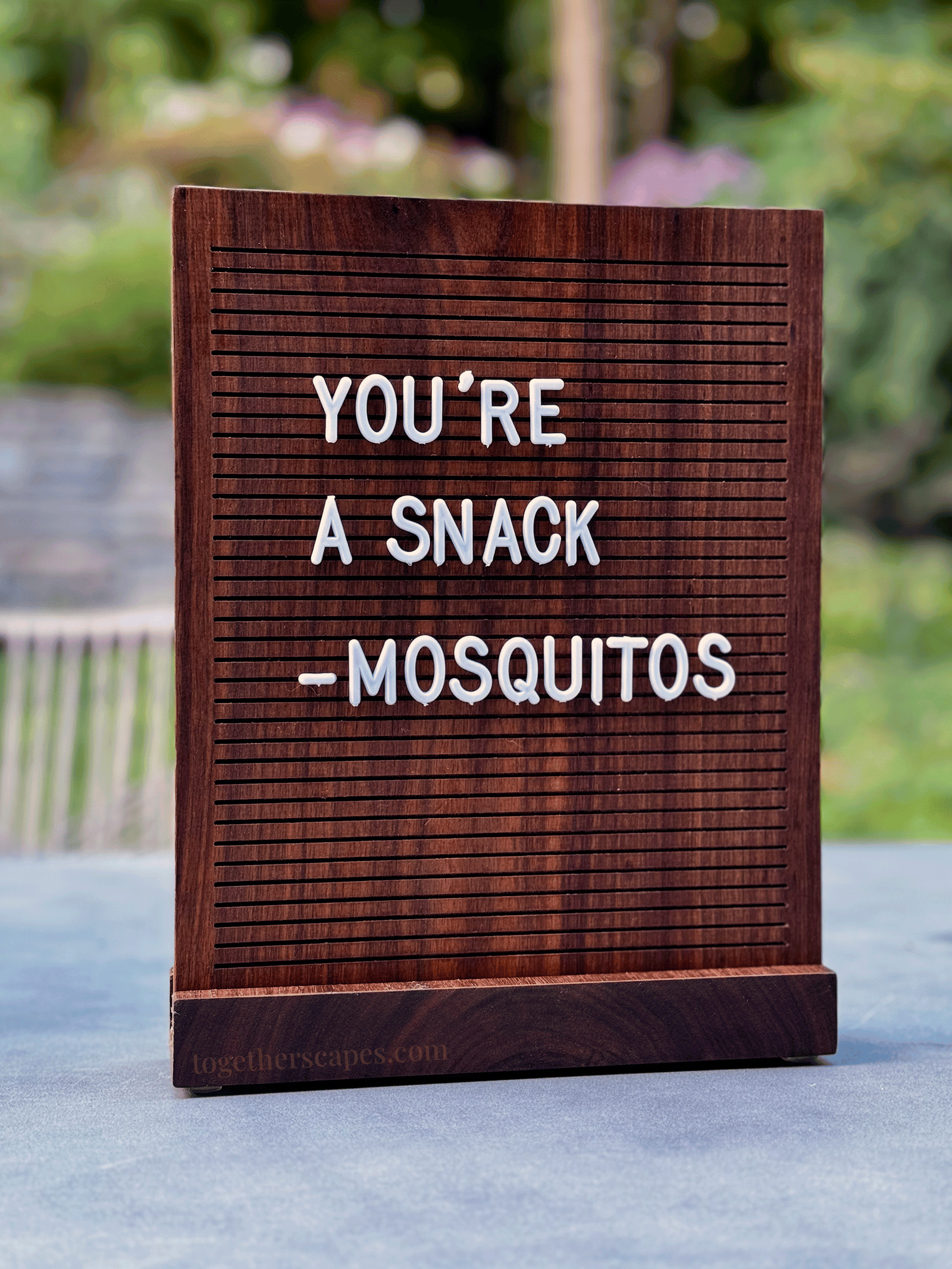 Letter Board Ideas and Inspiration: Summer Edition